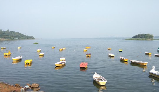 unnamed (10)