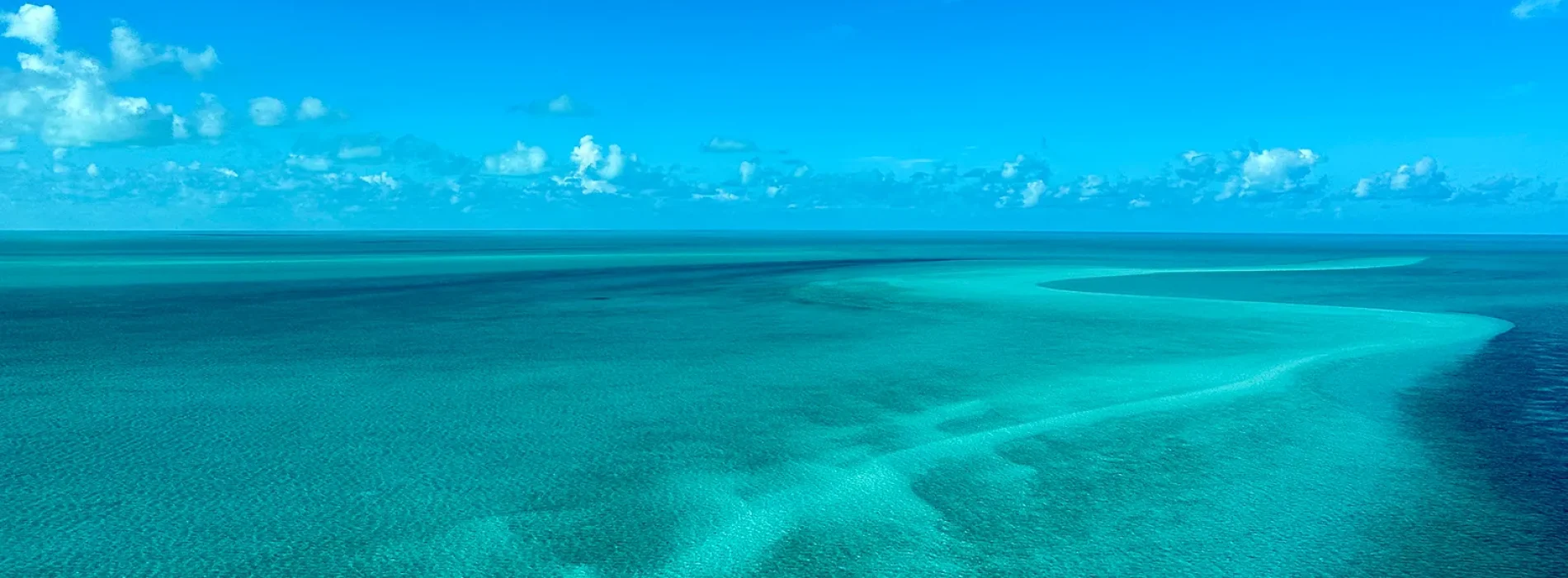 65a83fe53cd7340f447e6f6c_IMG_1546