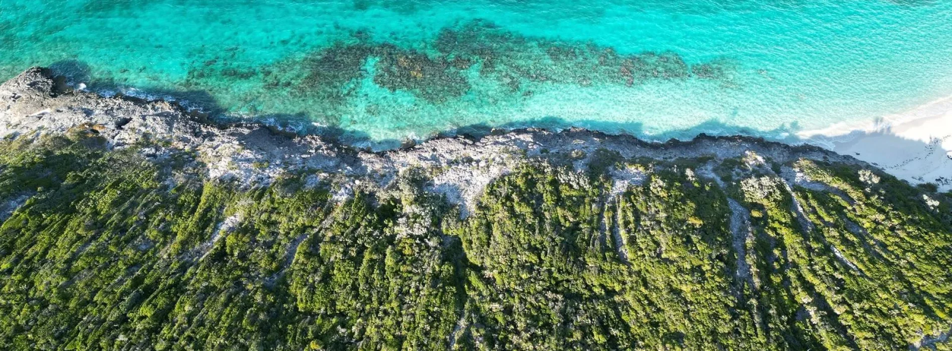 660639cf789f950f3a37f615_dji_fly_20220916_145154_16_1663374432298_photo-p-1600