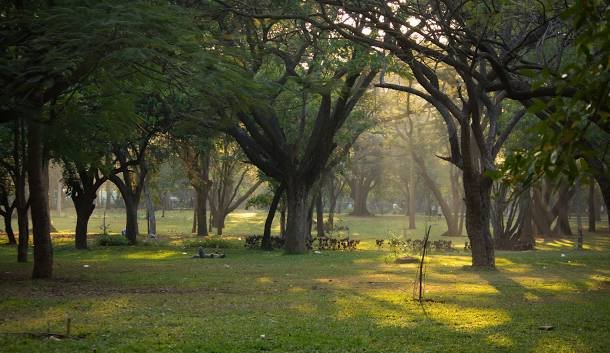 Shri Chāmarajendra (Cubbon) Park